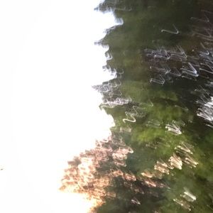 Meet your Posher, Lina